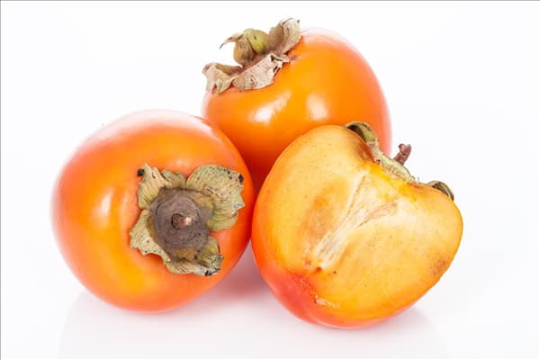 Diospyros kaki