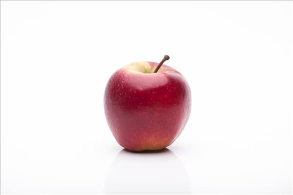 Malus domestica 'Elstar'