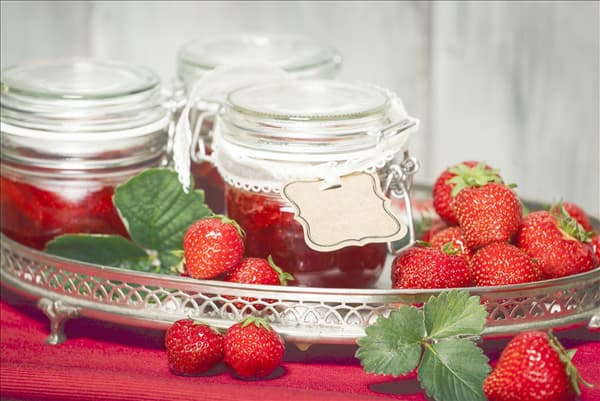 Fragaria x ananassa