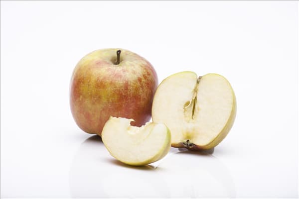 Malus domestica 'Holsteiner Cox'