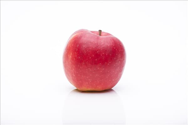 Malus domestica 'Jonagold'