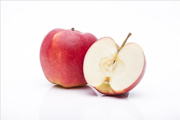 Malus domestica 'Jonagold'