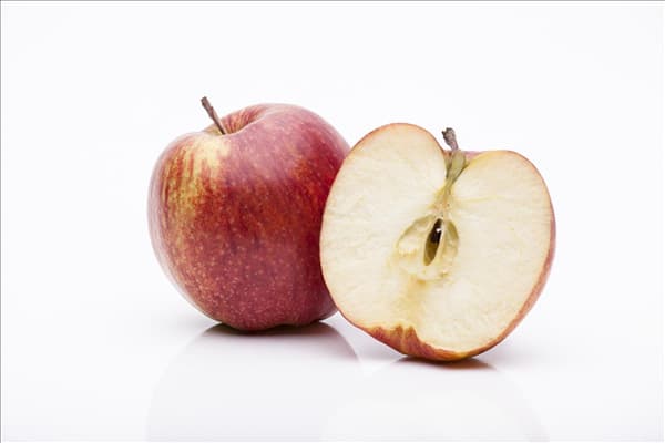 Malus domestica 'Jonagored'