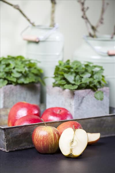 Malus domestica 'Rubinette'®