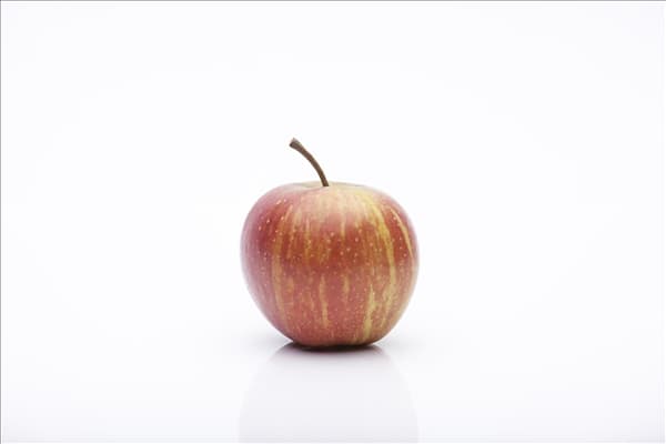 Malus domestica 'Rubinette'®