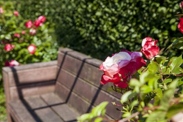 Rosengarten