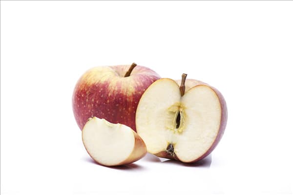 Malus domestica 'Boskoop'