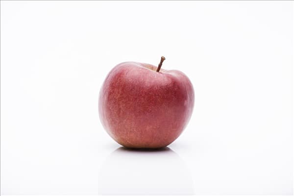 Malus domestica 'Braeburn'