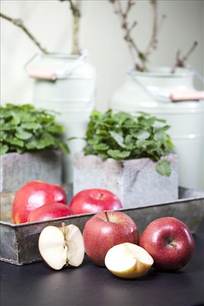 Malus domestica 'Braeburn'