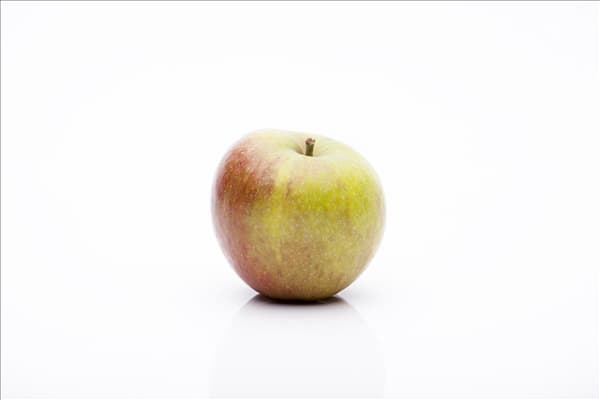 Malus domestica 'Cox Orange'