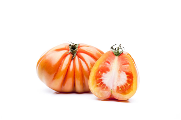 Solanum lycopersicum