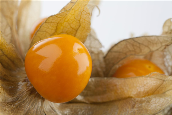 Physalis peruviana