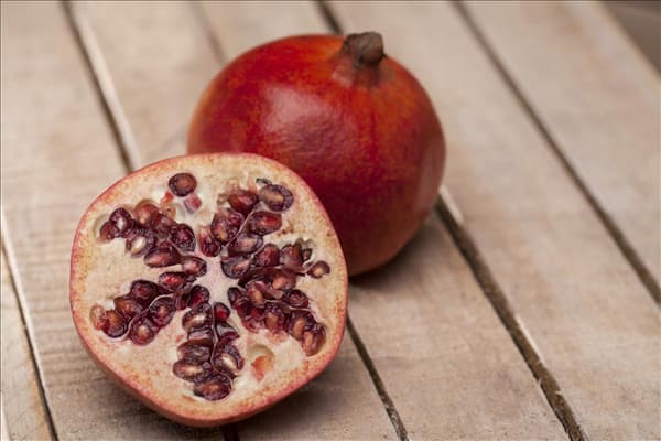 Punica granatum