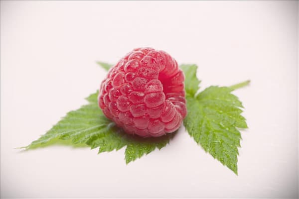 Rubus idaeus