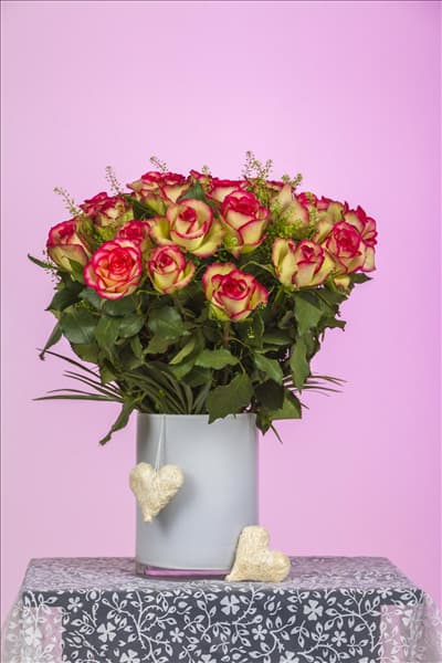 Rosa