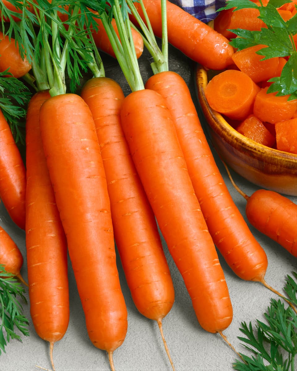 Daucus carota Nantaise