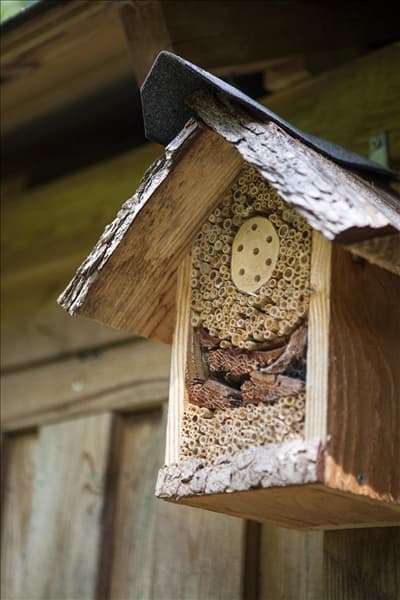 Insektenhotel