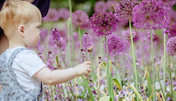 Kleiner Junge im Garten