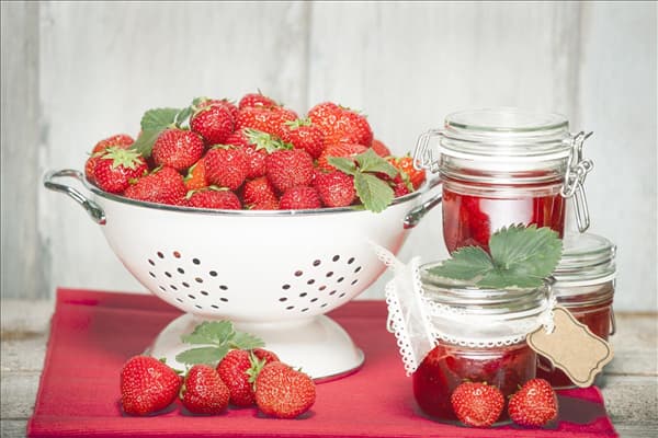Fragaria x ananassa