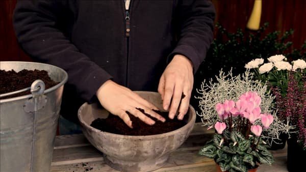 Blumenkübel - Herbstlich - Substrat einfüllen