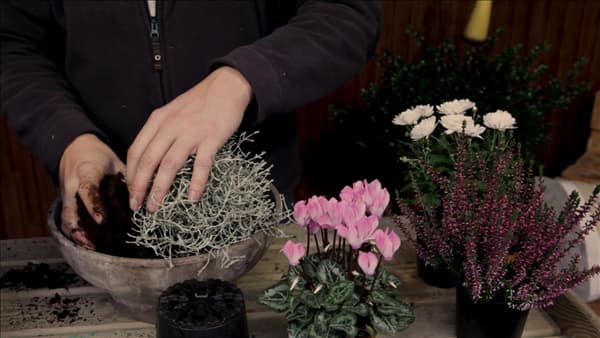 Blumenkübel - Herbstlich - Substrat nachfüllen