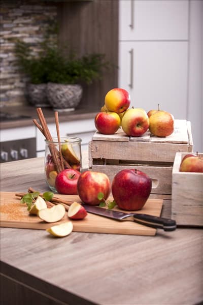 Malus domestica