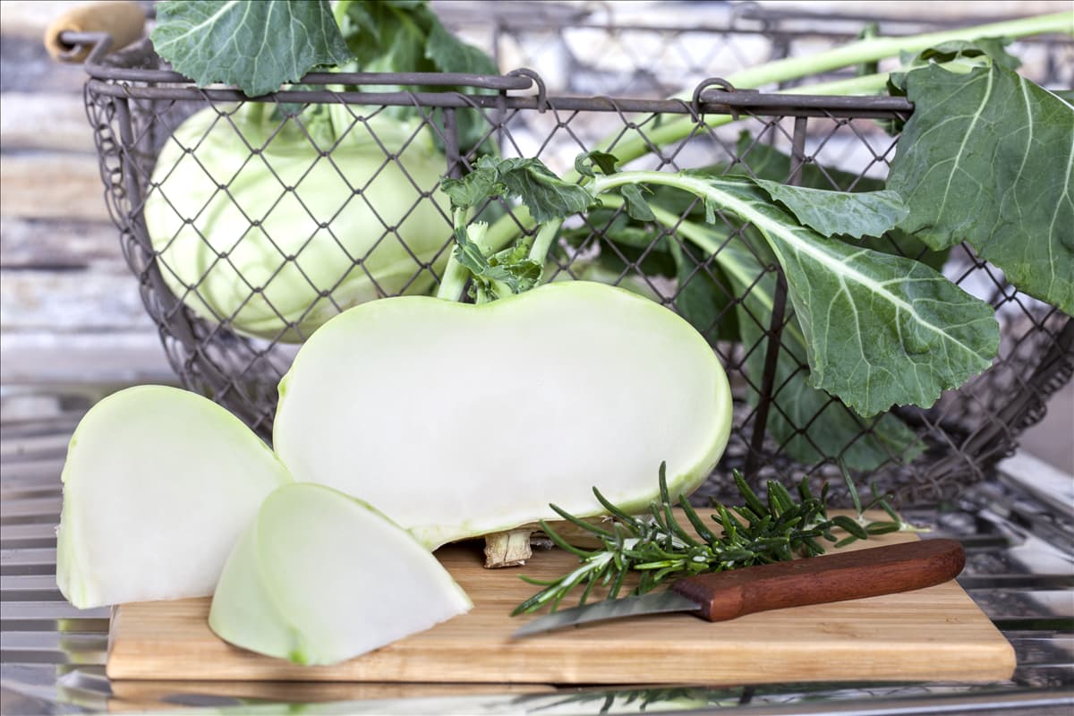 Brassica oleracea var. gongylodes