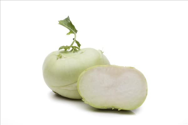 Brassica oleracea var. gongylodes 'Gigant'