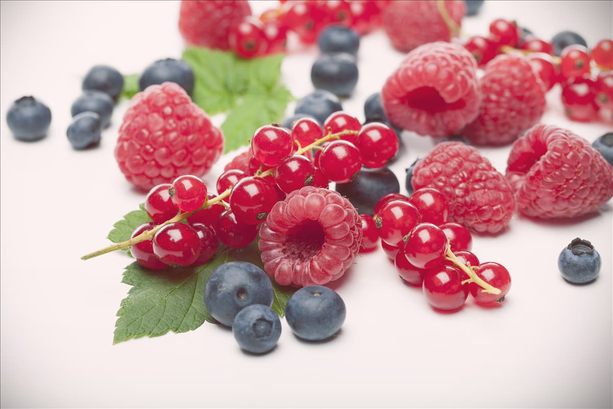 Rubus idaeus