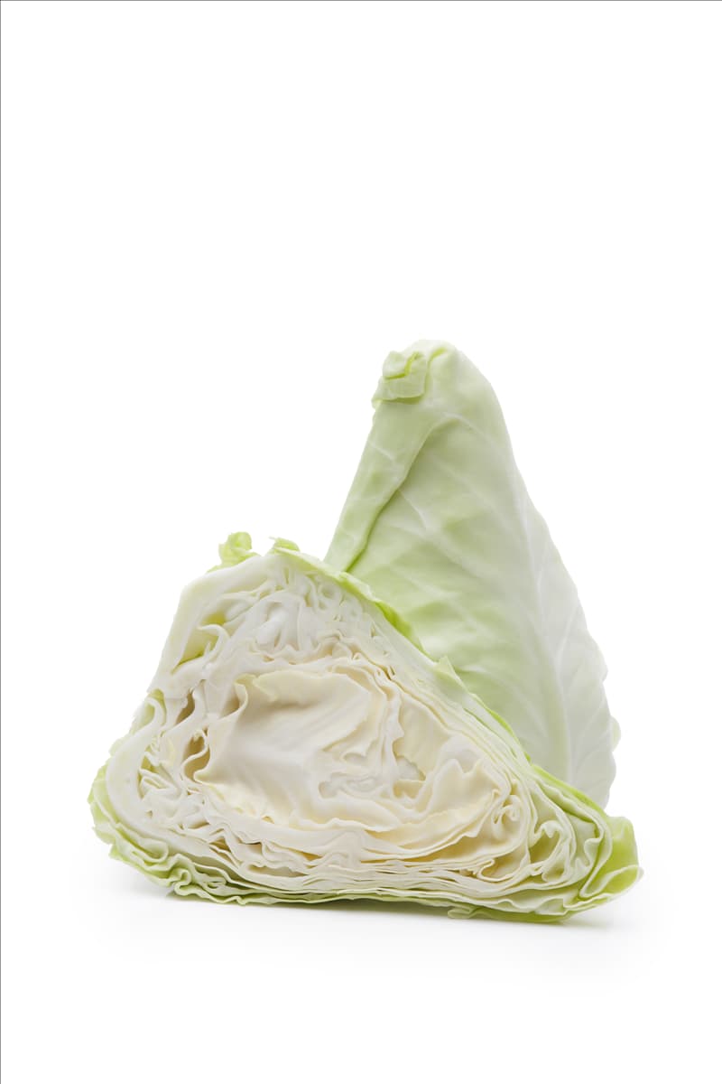 Brassica oleracea var. capitata f. alba