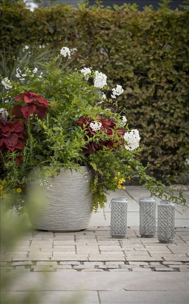 Laternen im Garten